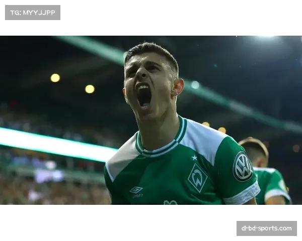 勒沃库森球迷不当行为遭重罚 俱乐部被罚24.2万欧